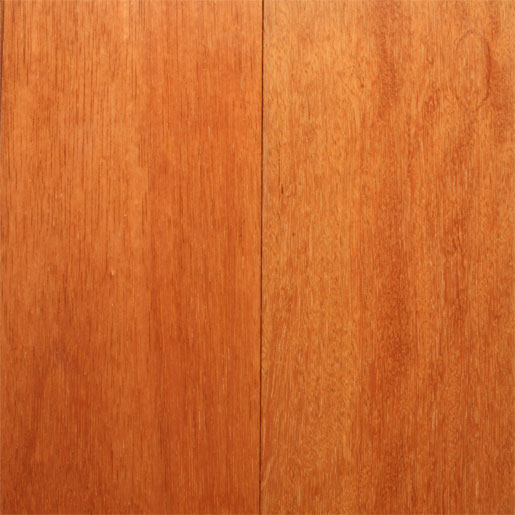 Wood species image of Kempas